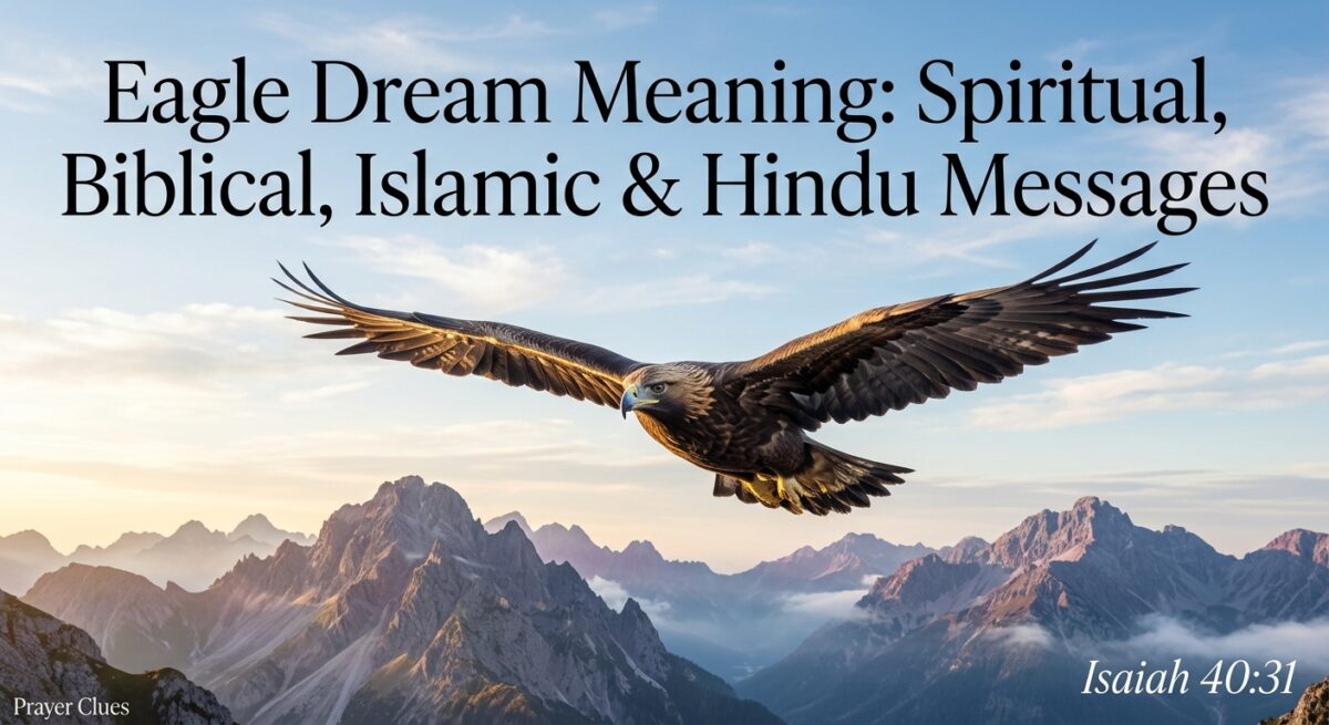 Eagle Dream Meaning Spiritual, Biblical, Islamic & Hindu Messages